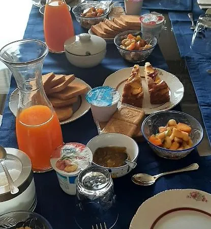 Degli Allori