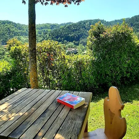 Degli Allori