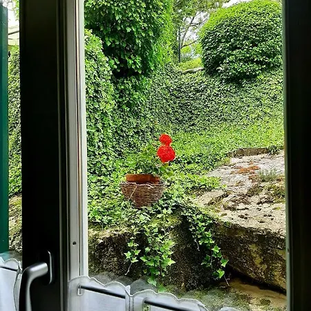 Degli Allori *