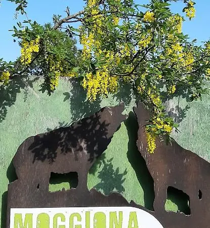 Degli Allori Moggiona