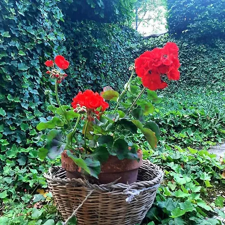 Degli Allori Bed & Breakfast *