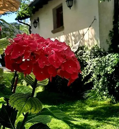 Degli Allori Moggiona