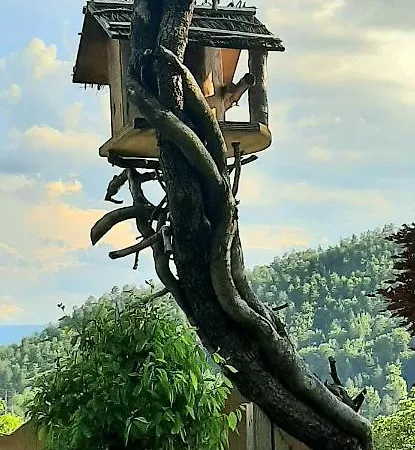 Degli Allori Bed & Breakfast