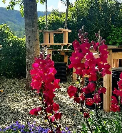 Degli Allori Bed & Breakfast Moggiona