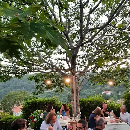 Degli Allori Bed & Breakfast Moggiona