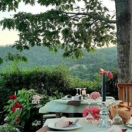 Bed & Breakfast Degli Allori *