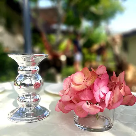Degli Allori *
