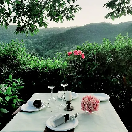 Bed & Breakfast Degli Allori Moggiona