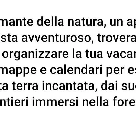 Degli Allori *