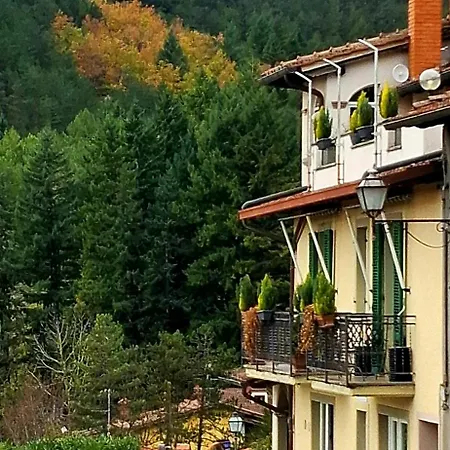 Degli Allori *