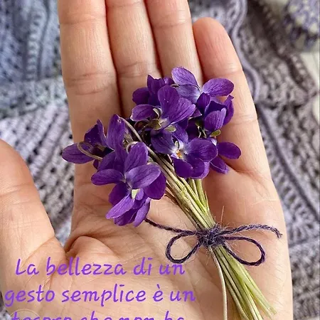 Degli Allori Отель типа 