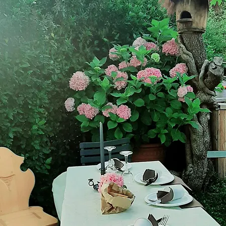 B&B Degli Allori
